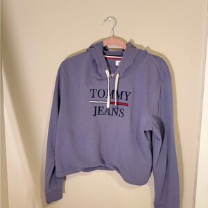 Tommy Hilfiger Blue Hoodie Sweater